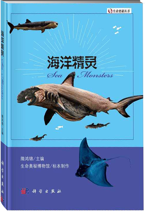 4.海洋精靈.png