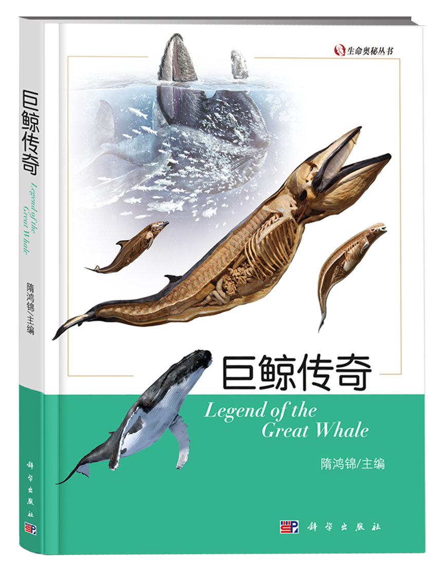 5.巨鯨傳奇.png