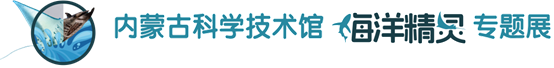 909ea20b-1a50-44d3-b85a-b8b5c25bbe28.png
